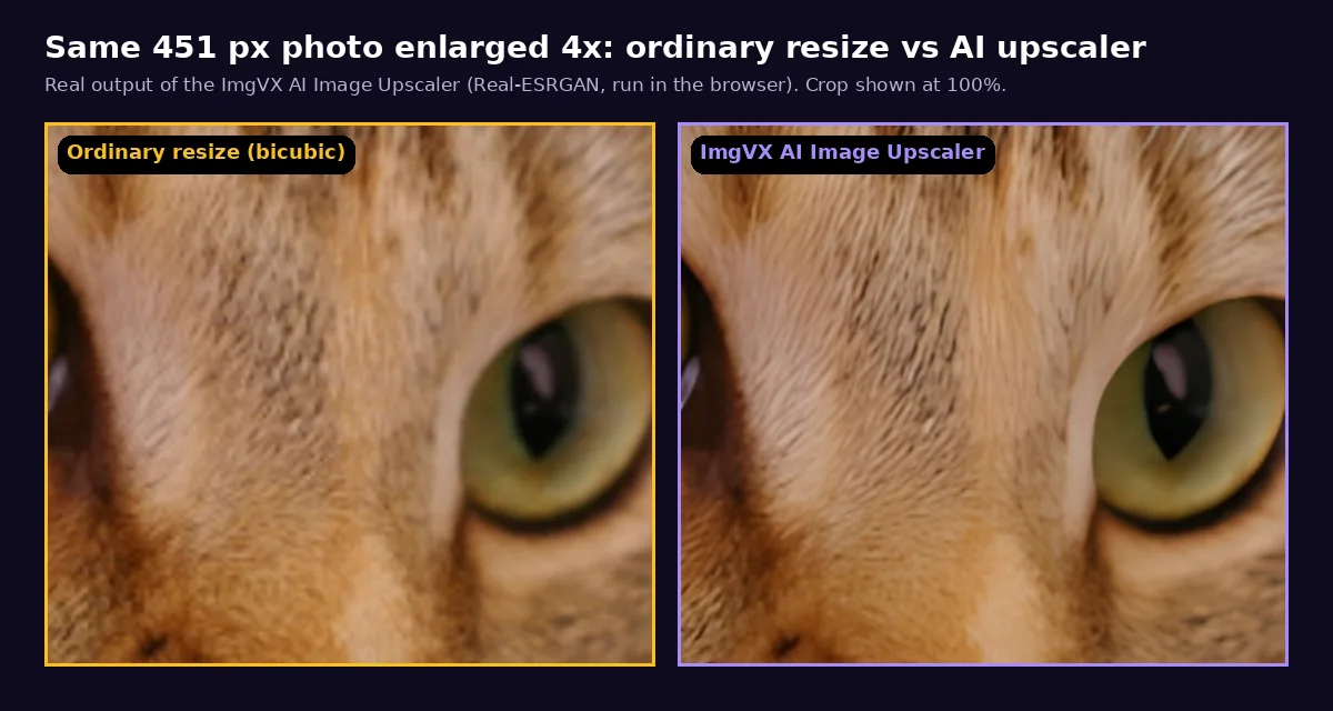 Close-up comparison of a cat eye enlarged 4x: soft and blurry with an ordinary bicubic resize, sharp fur detail with the ImgVX AI Image Upscaler